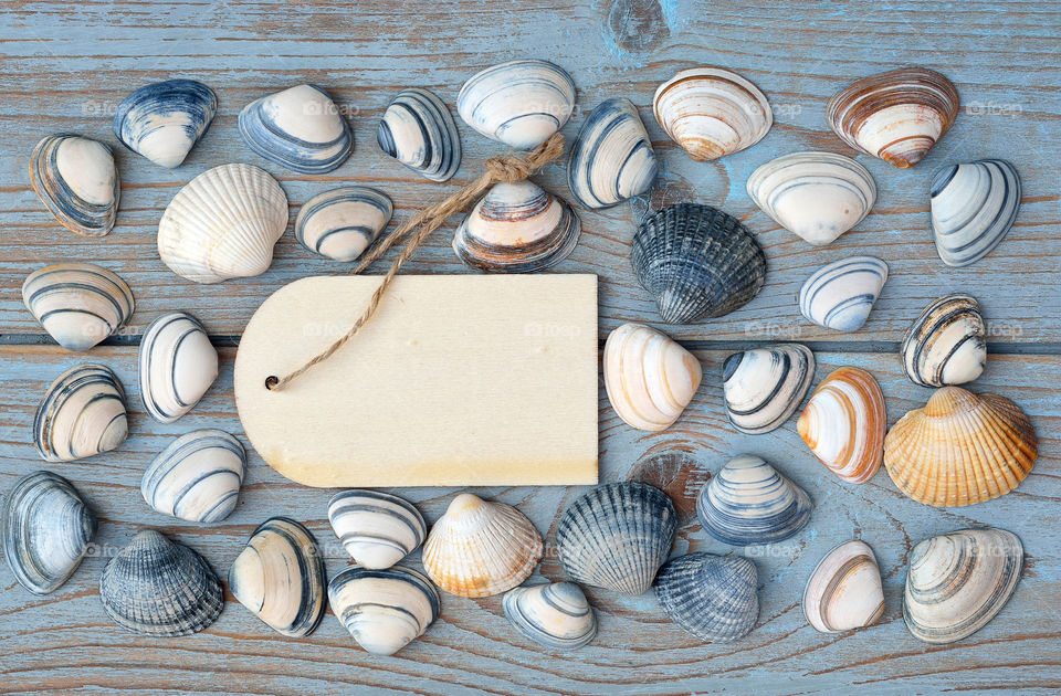 Striped seashells with a empty tag