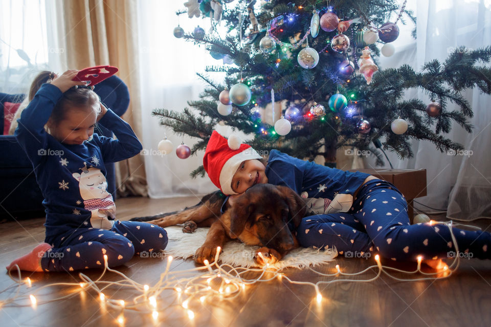 Little sisters with German shepherd puppy near Christmas tree 