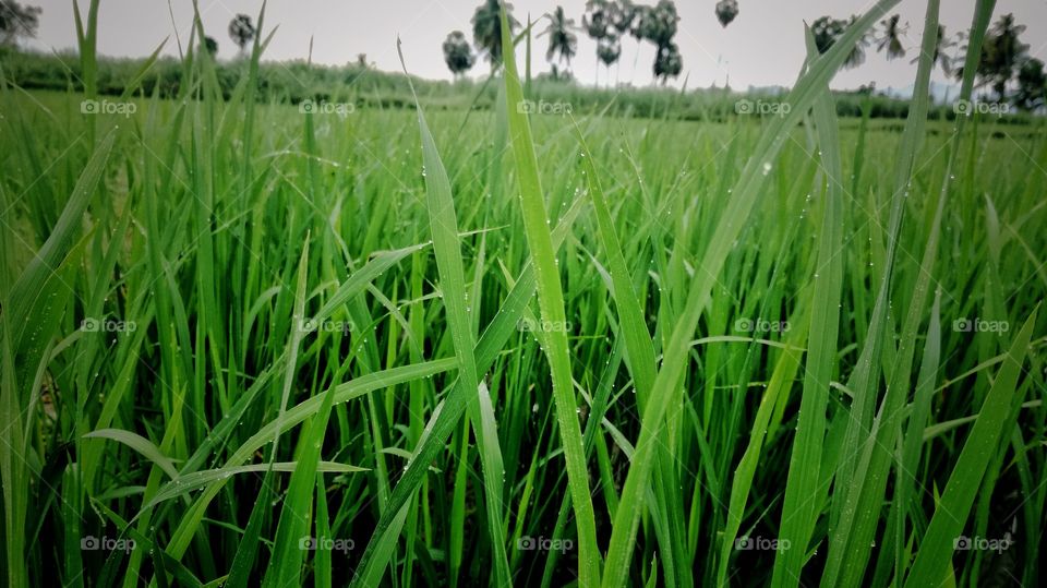 awesome morning very chill