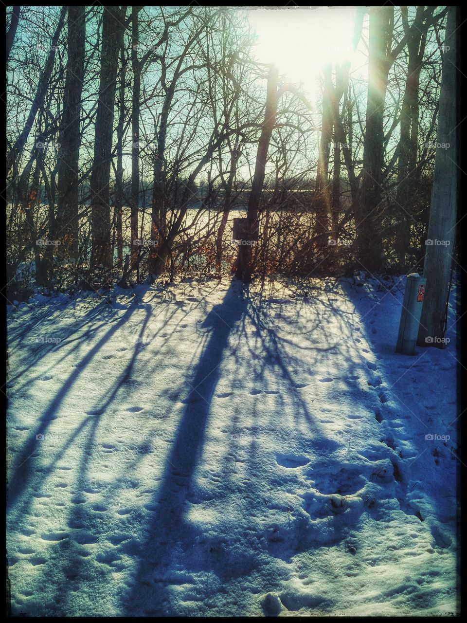 Sunshine and snow overlooking the woods