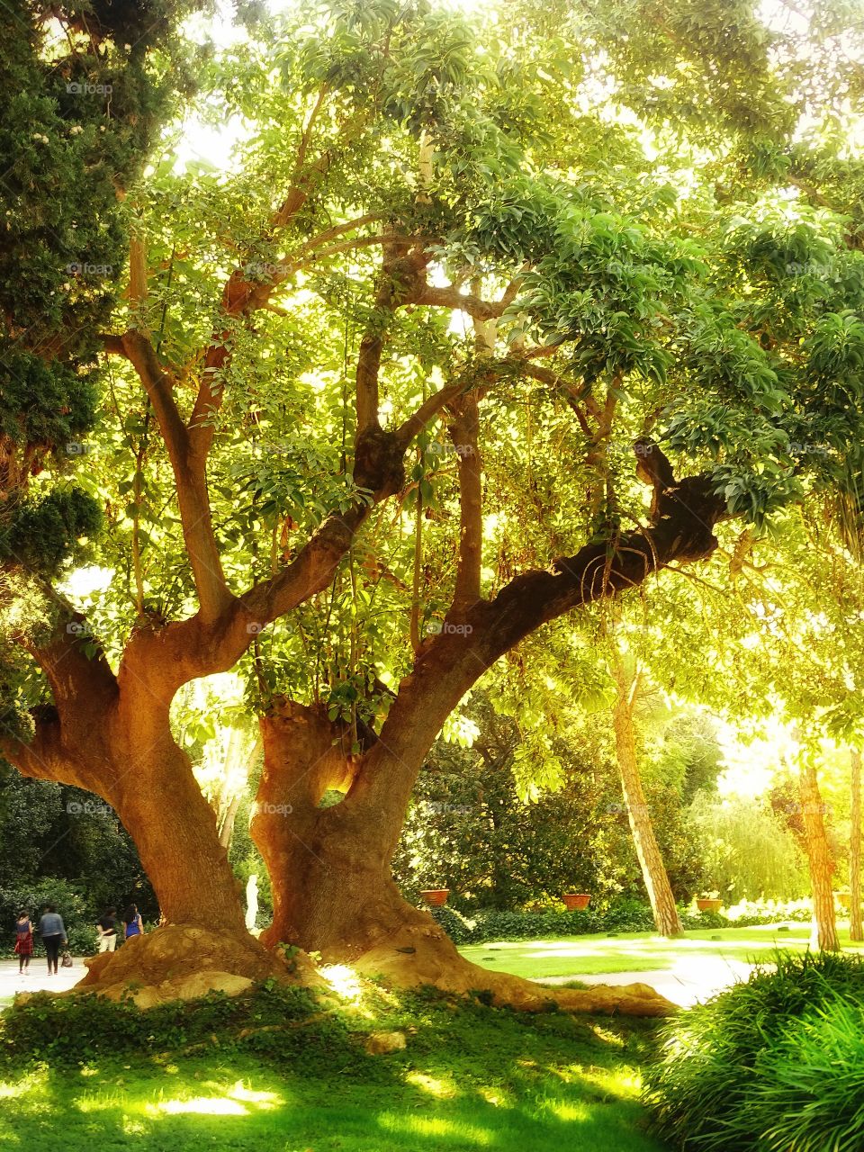 It will be that autumn comes