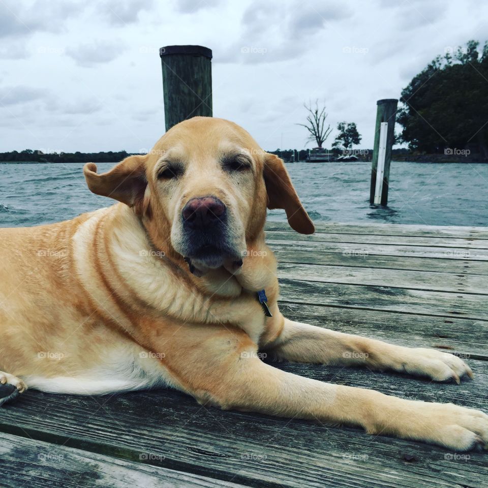 Windy days on the dock