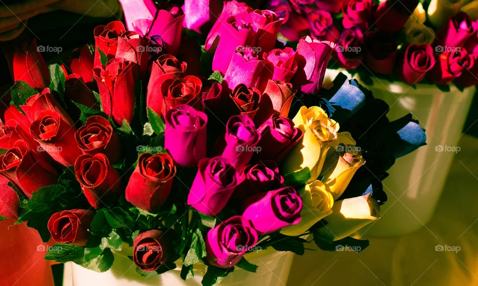 Roses