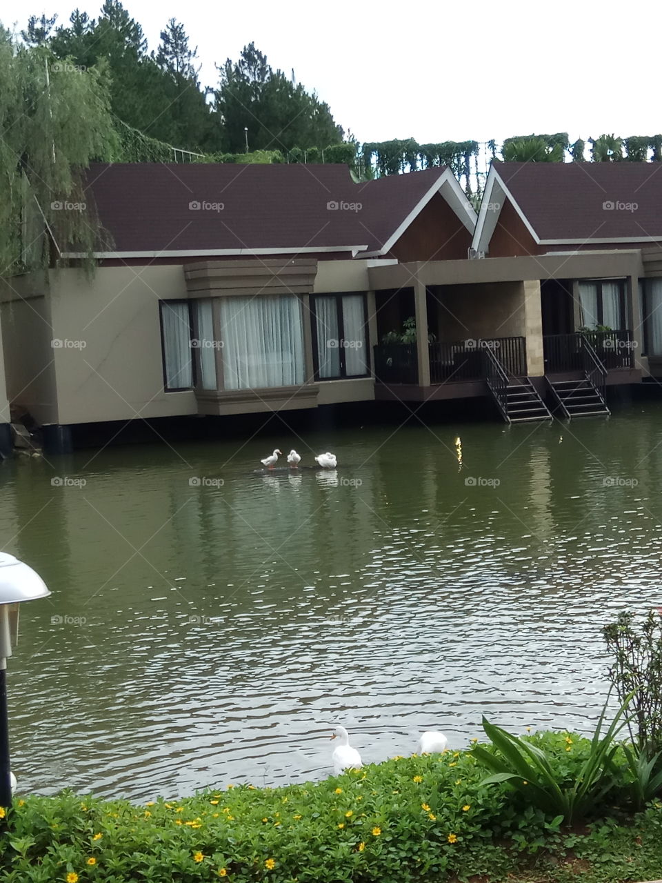 Lakeside Villas @Aston Sentul Lake , South sentul, Bogor west java, Ind