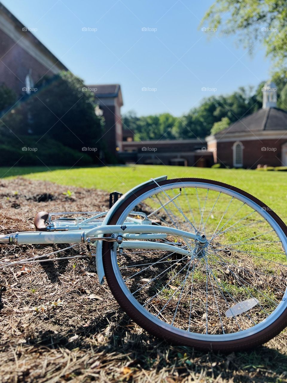 A blue cruiser style bicycle lying on its side in the foreground, with a grassy lawn, tree and brick church building in the background.