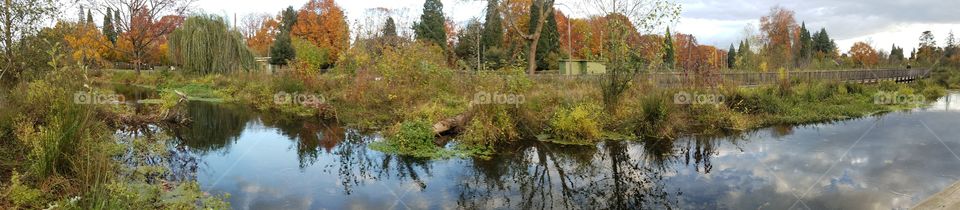 Panoramic Fall Stream