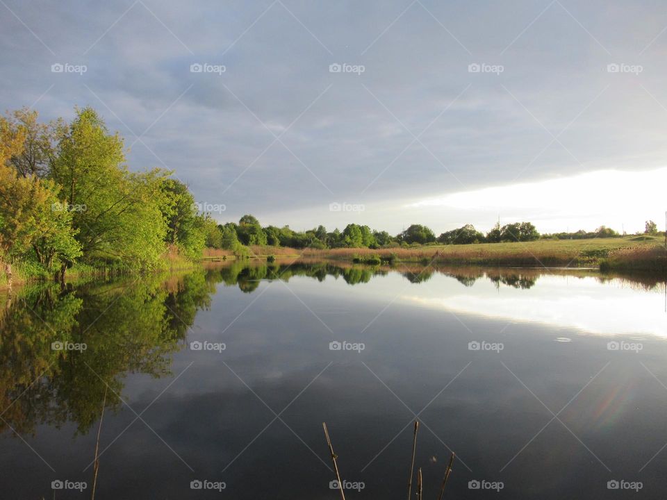 spring landscape, pond and trees around