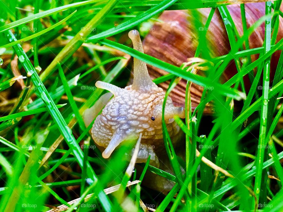 Captured with iPhone 6s Plus 