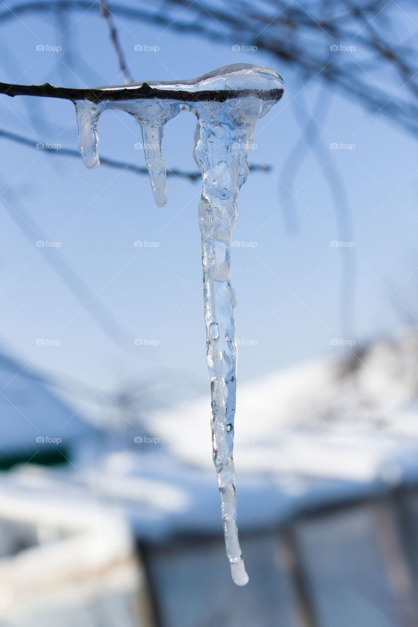 Icicle
