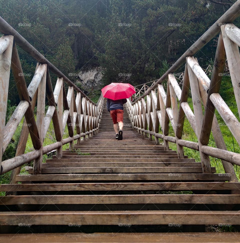 Stairs to the forest