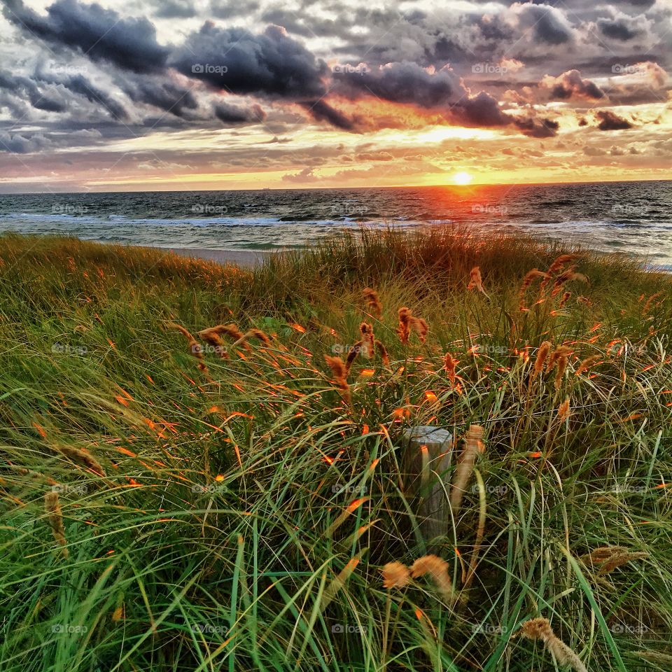 Golden sunset on the Baltic Coast 