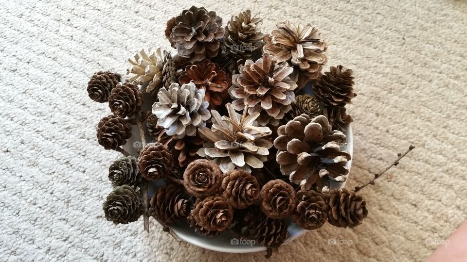 bleached ,pinecones, pinecone, autumn, autumnal, seasonal, English, October, November, September, bleach, bleaching, crafted, crafting, craft, crafts, natural, decorating, decorative, Dec's