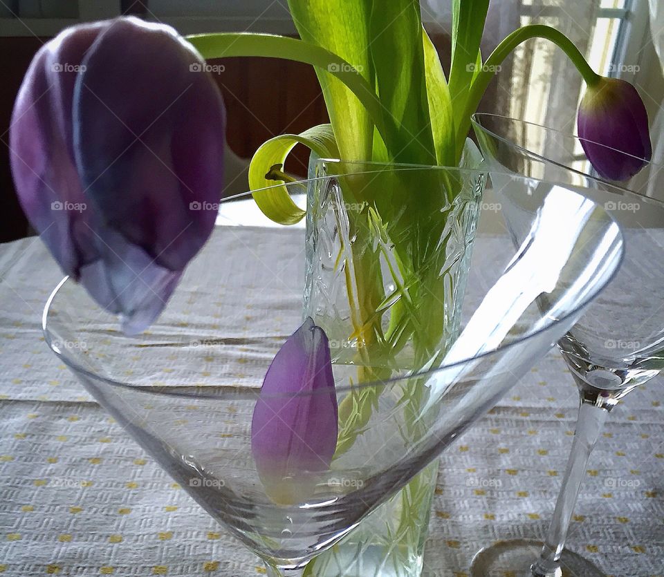 Glasses with Tulips