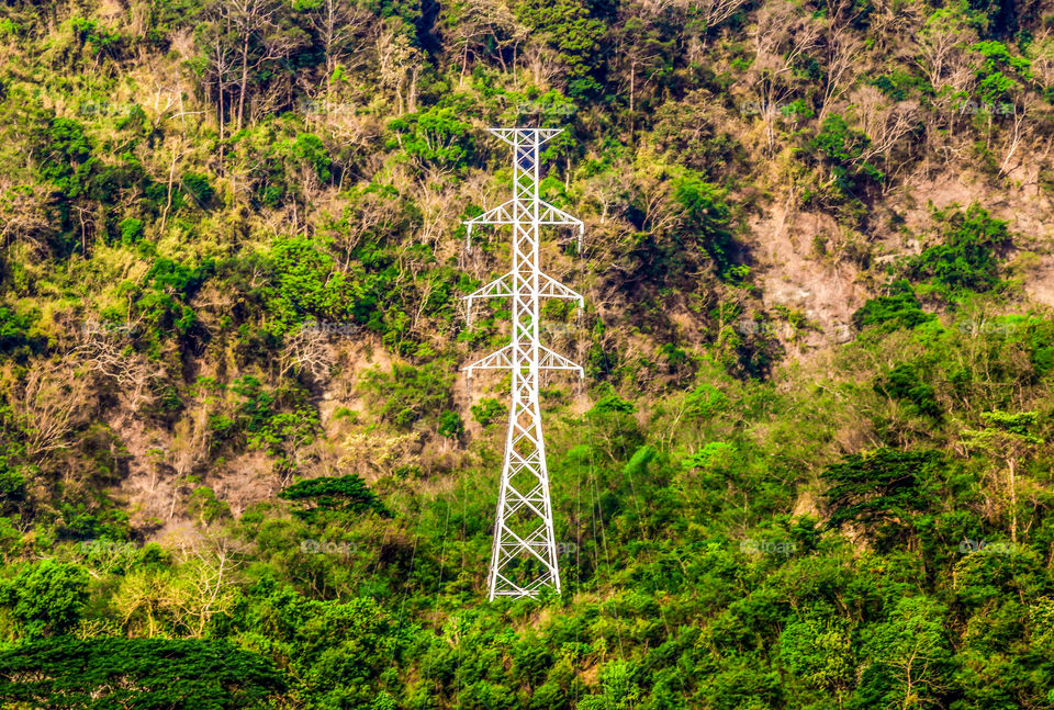 The Vibrant White color Tower Post, against the Green and Brown color of natures captured from a Distance.