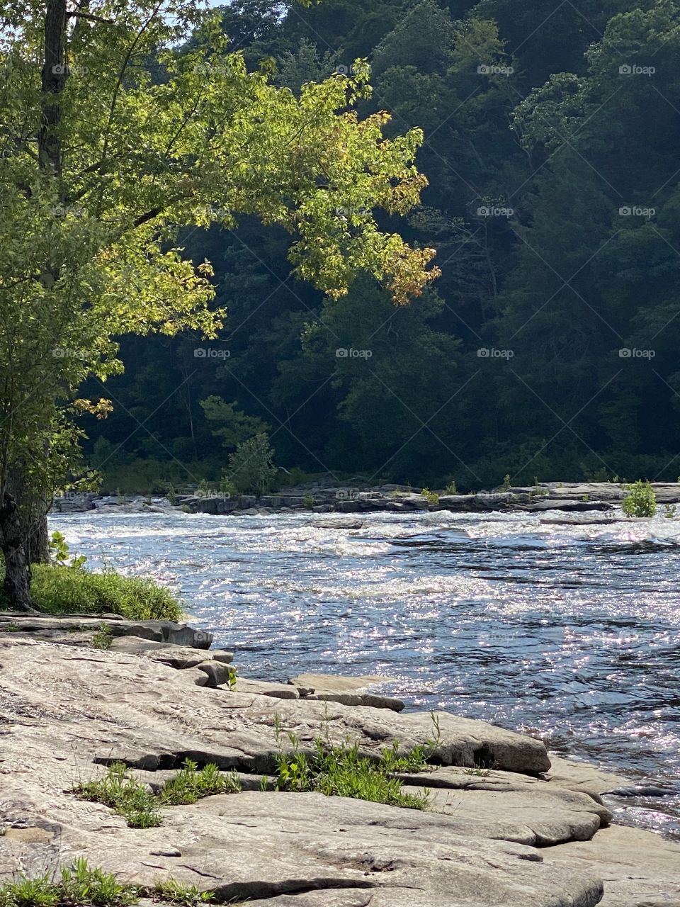 Outdoor outside River fun 