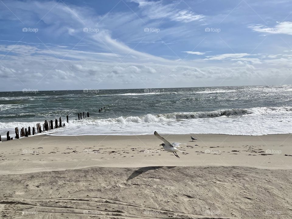 Never settle till you get to your destiny!