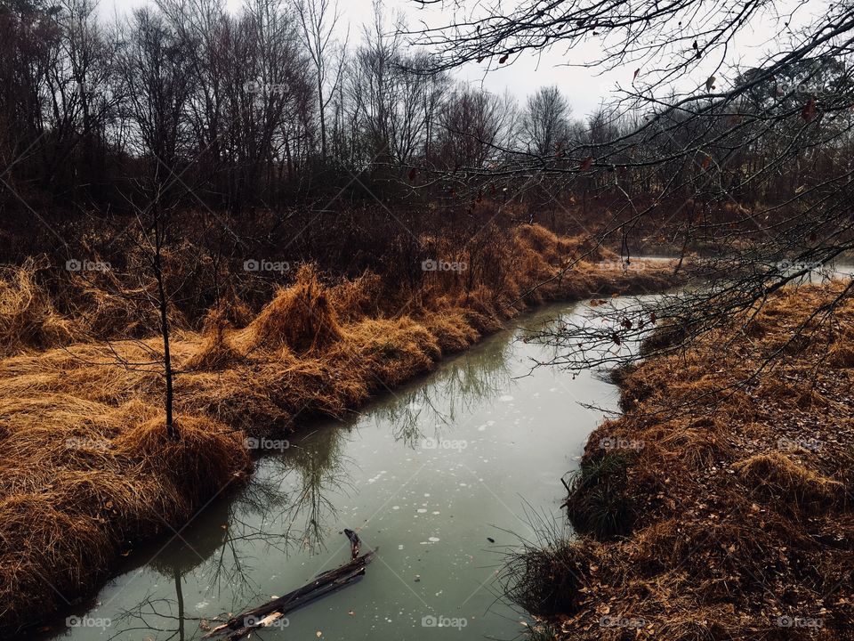 Creek flows through the stillness of the marsh
