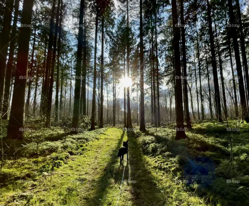 Sunday-walk (with my besty)