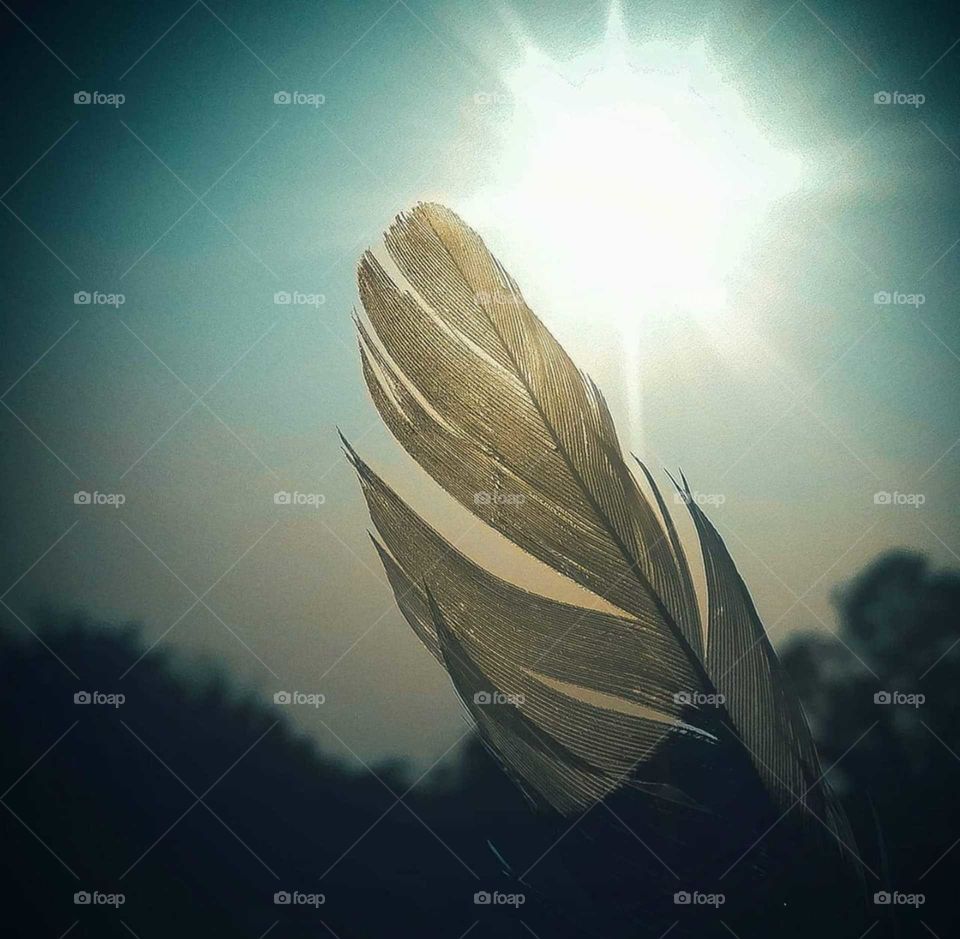 sun with feathers