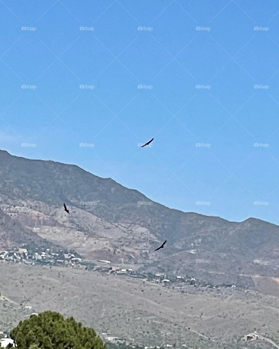 Perfect life combination 🏜