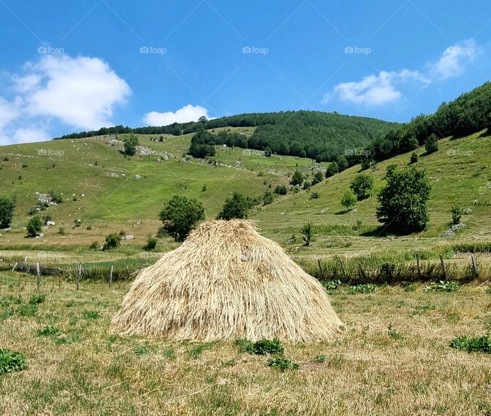 hay in a beautiful valley