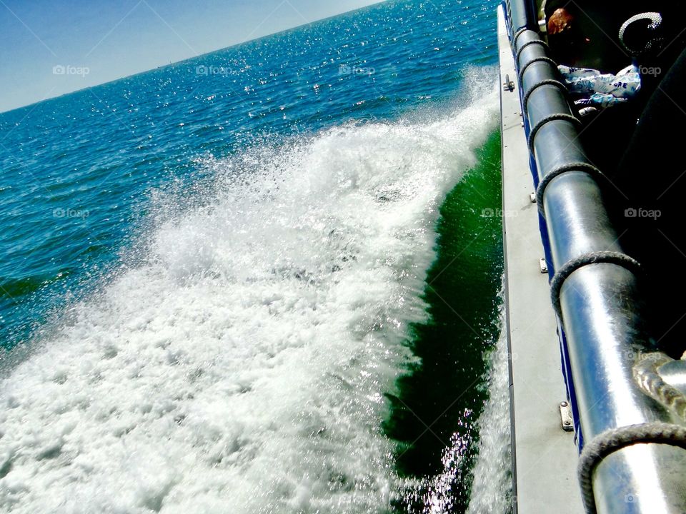 Moving through the water