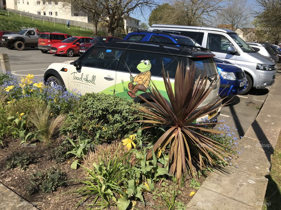 Some people are lucky enough to travel alongside a toad on their road trips, as is the case here.