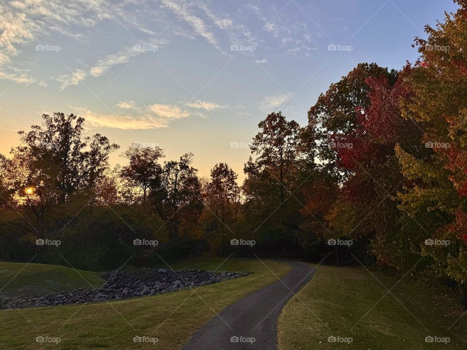 Sunset stroll through autumn’s embrace, where warm colors and quiet paths invite reflection.