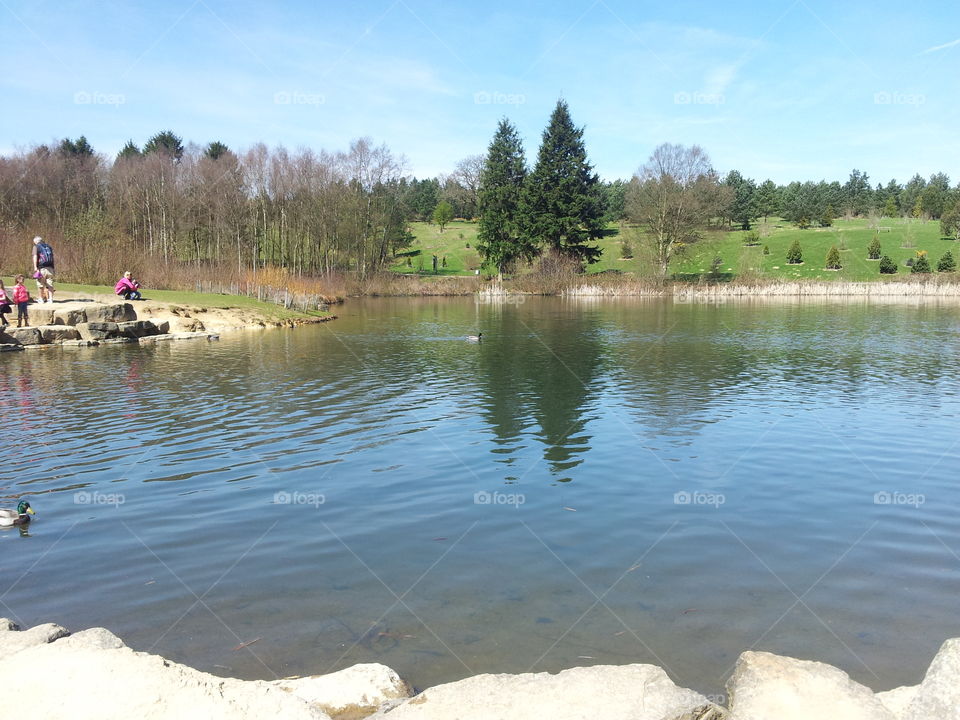 Water, River, Lake, Tree, Landscape