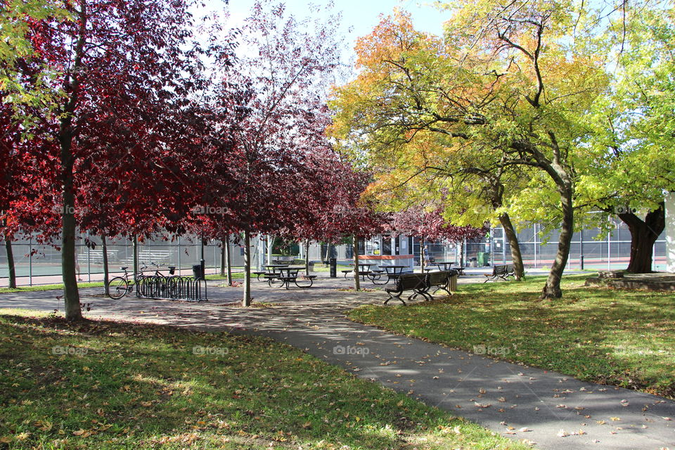 Somerled Park Montreal 