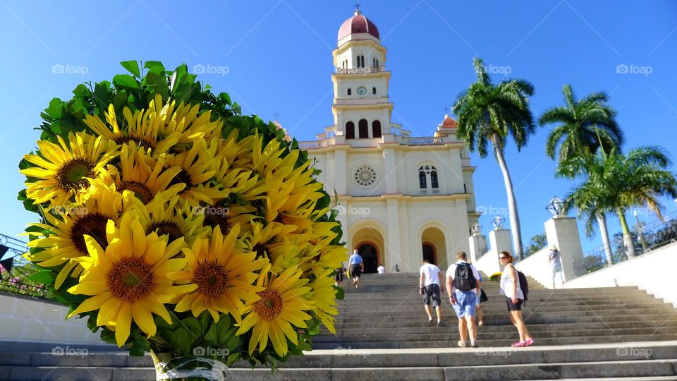 Sunflower bouquet