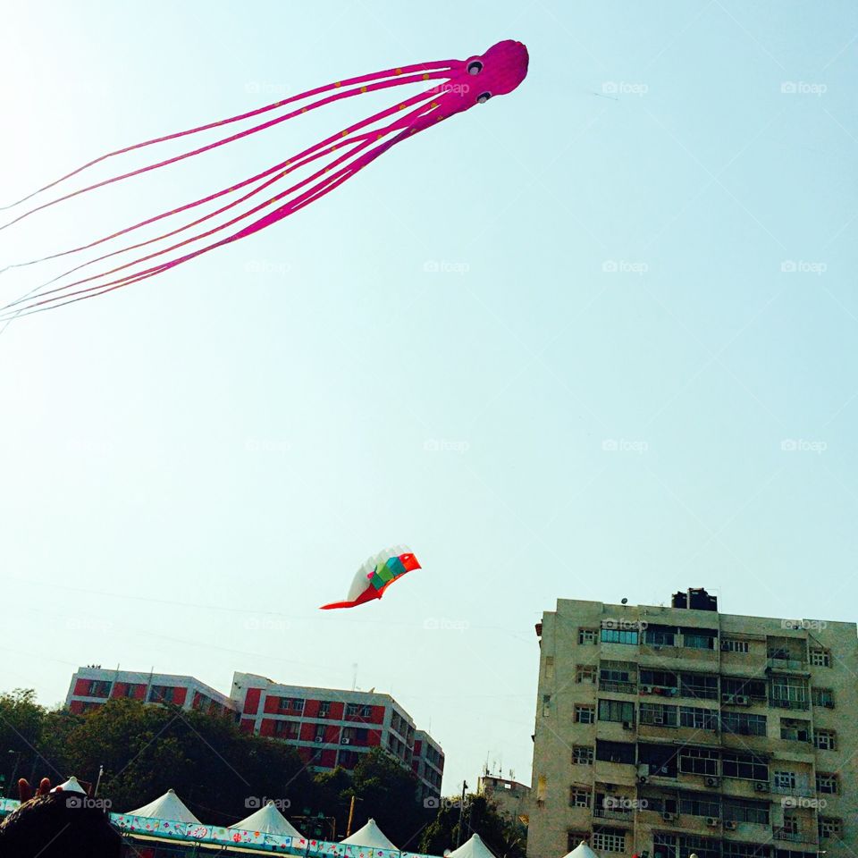 International Kite flying festival in Gujarat, India