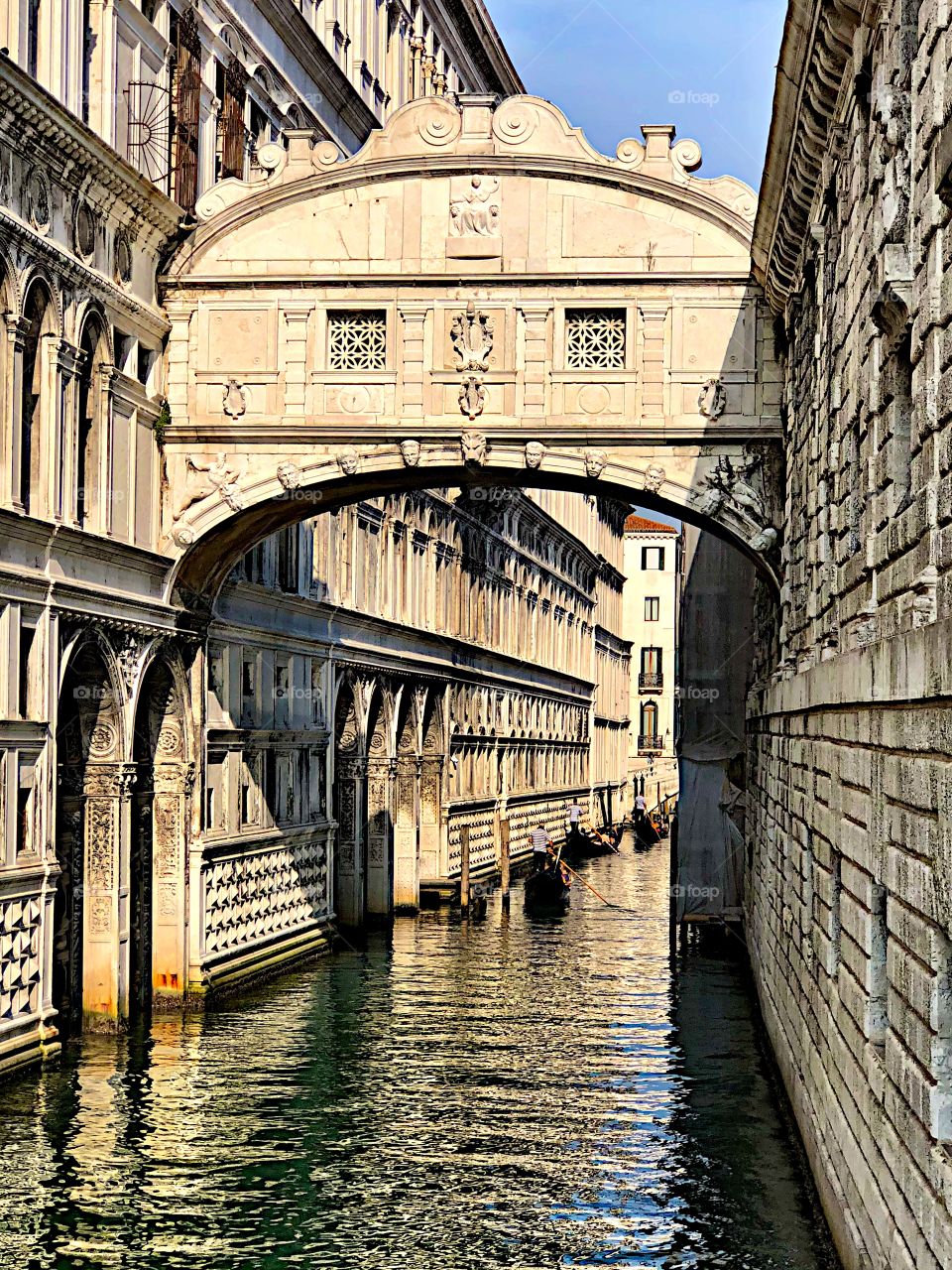 Sucrose Bridge in Venice! 