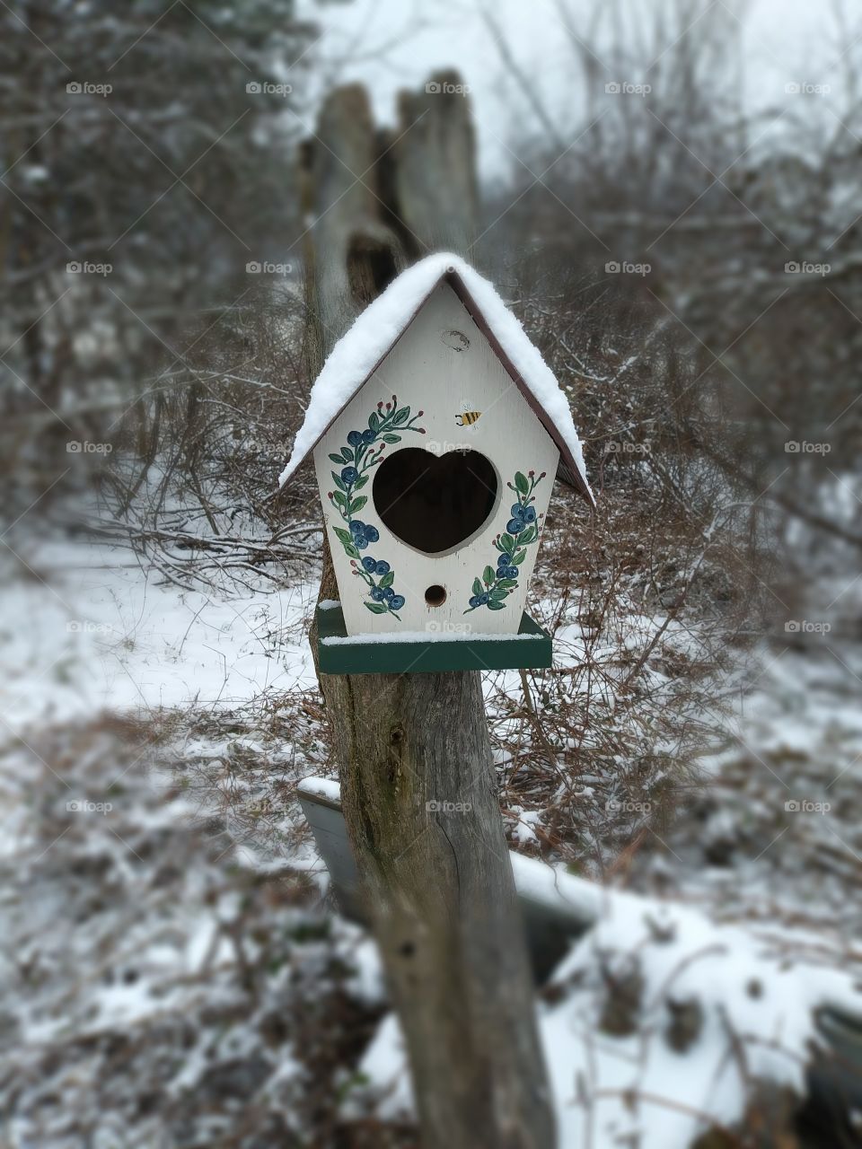 birdhouse on fenc post winter snow