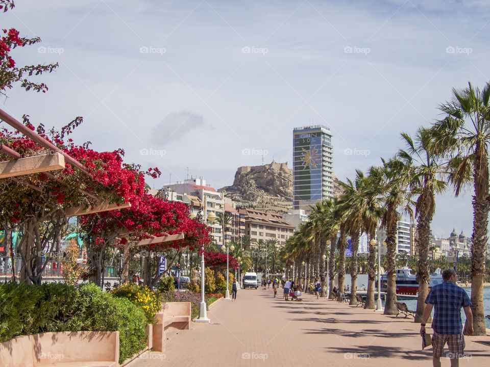 Waterfront in Alicante. 