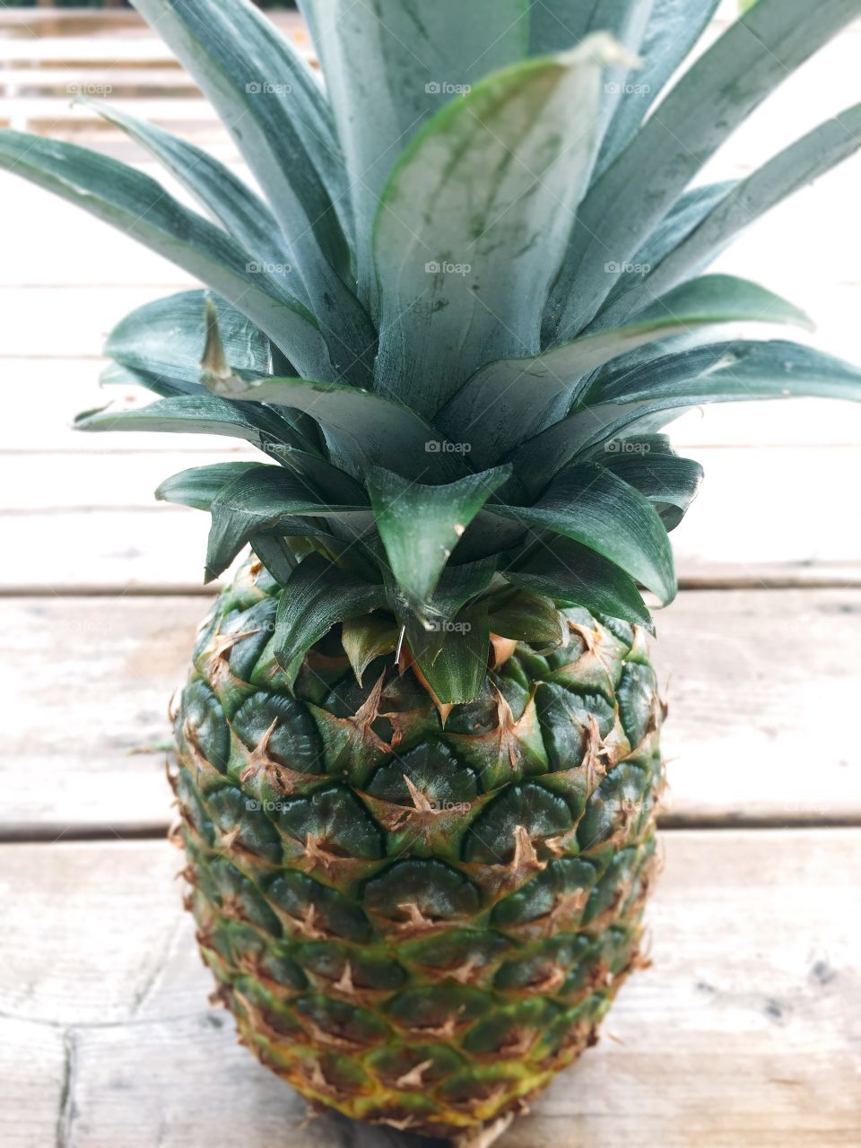 Pineapple 