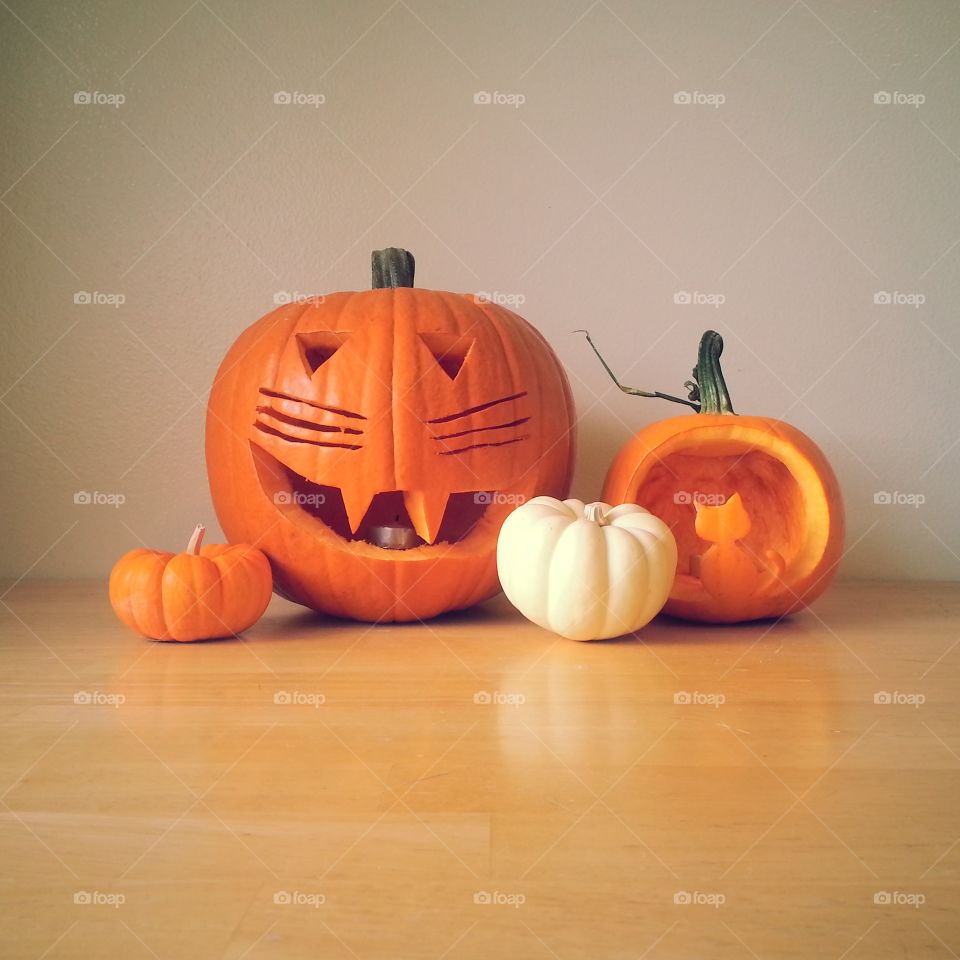 Cat pumpkin 