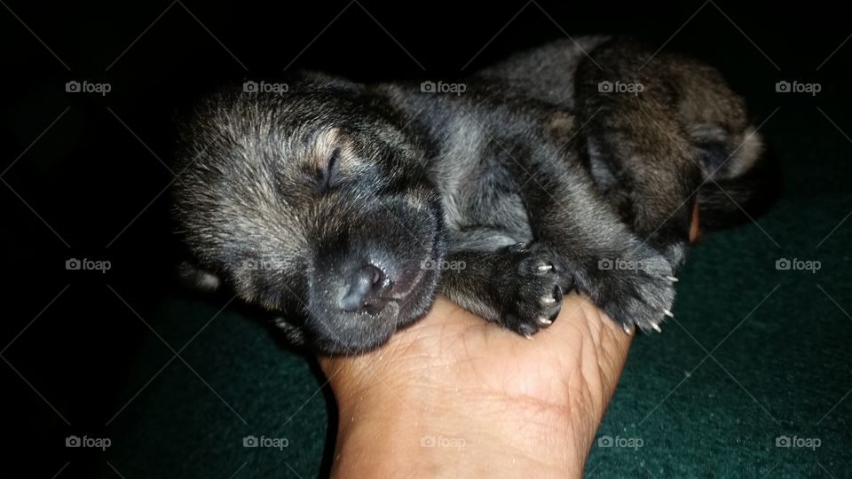 Dont disturb.. I am sleeping..