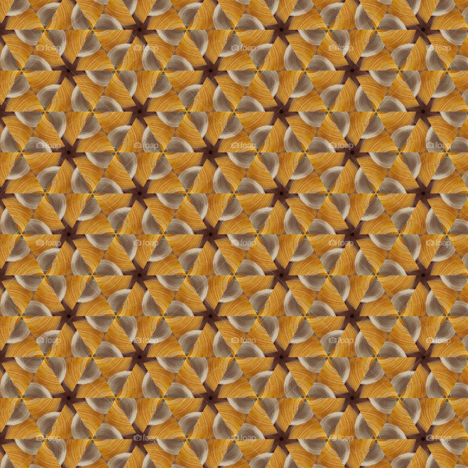 Fall Color Pattern