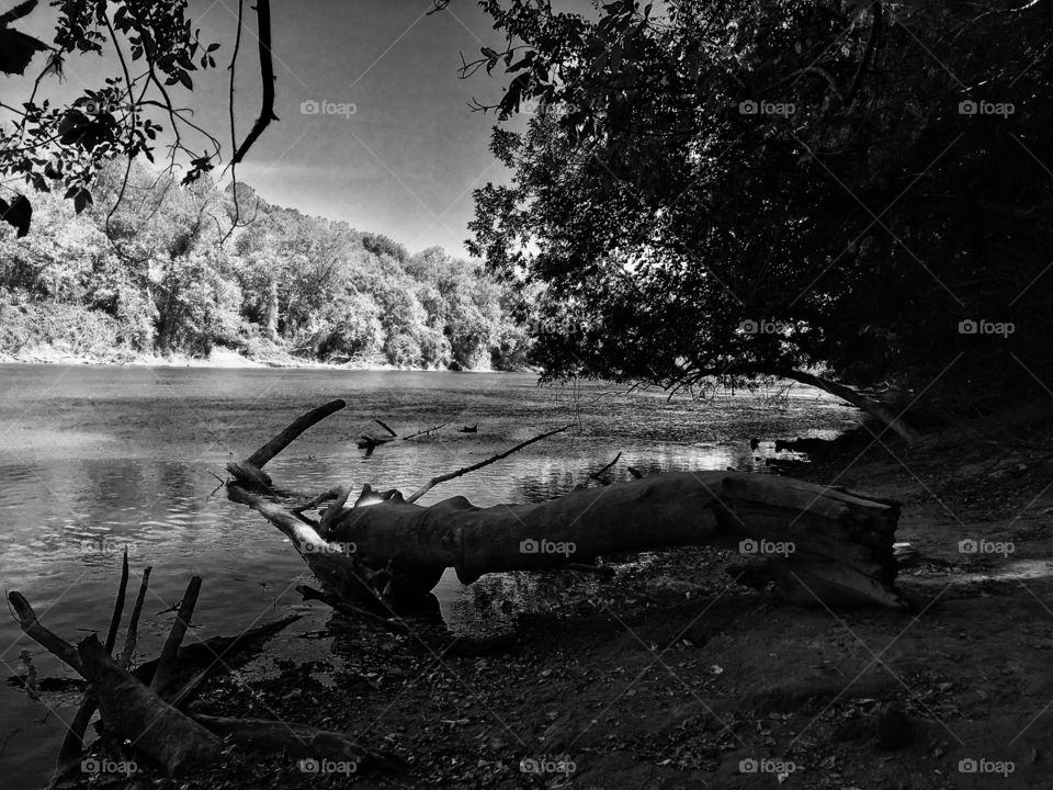 Cape Fear River at Raven Rock State Park