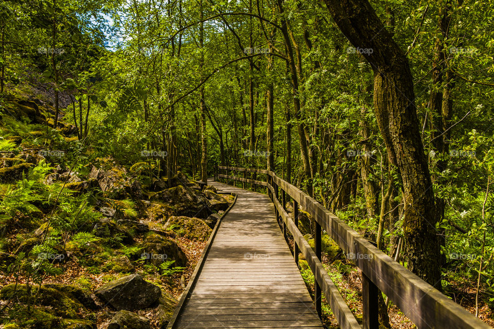 path to nowhere. A foto i took during summer can't remember were it was.