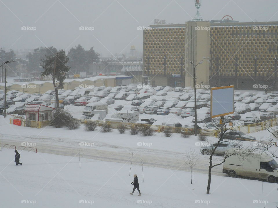 winter landscape in the city of Kiev