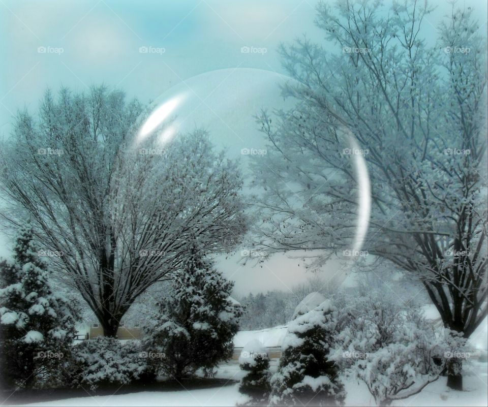 Winter Landscape in a Bubble