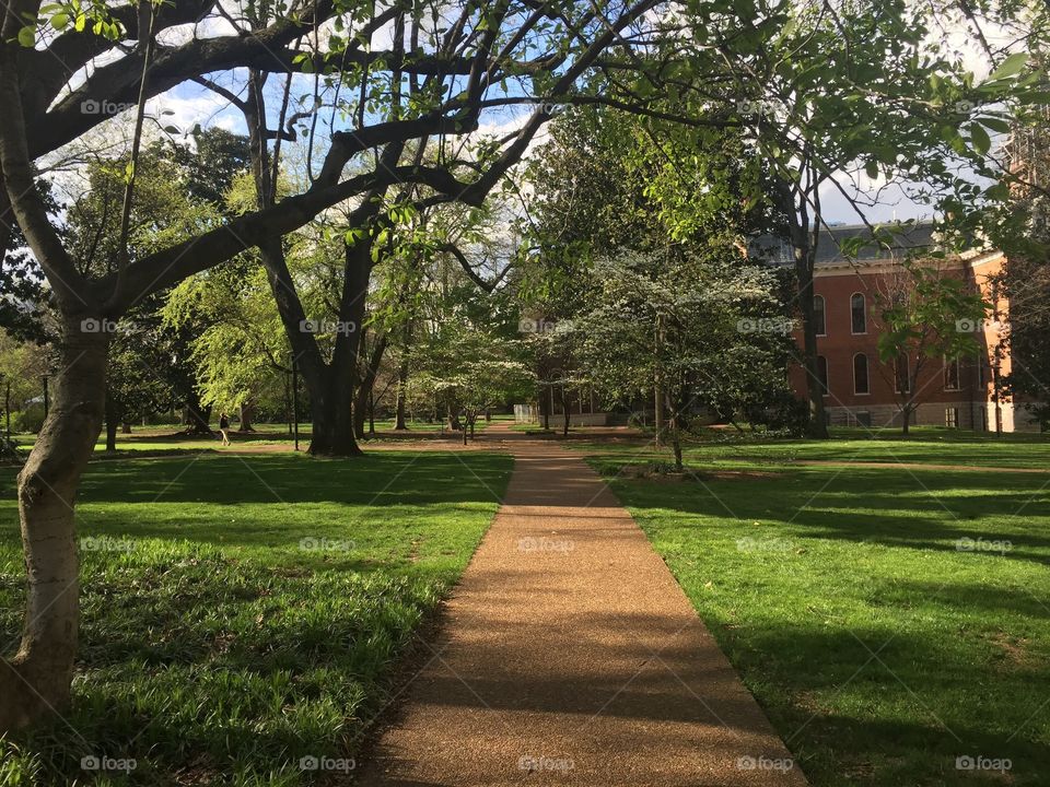 Vanderbilt university in Nashville 