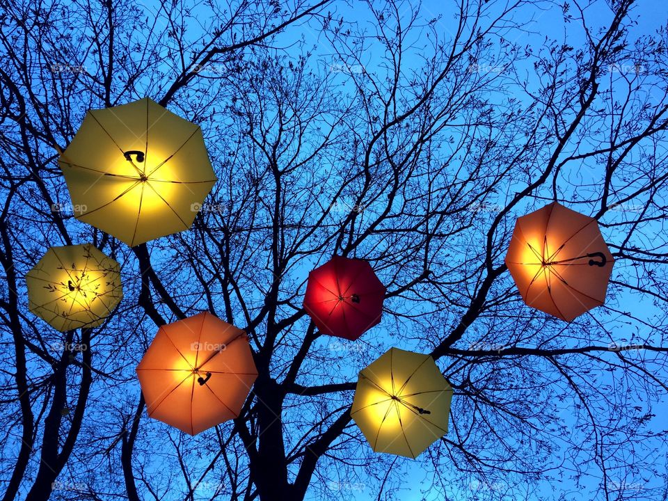 Fall, Sky, Season, Light, Weather