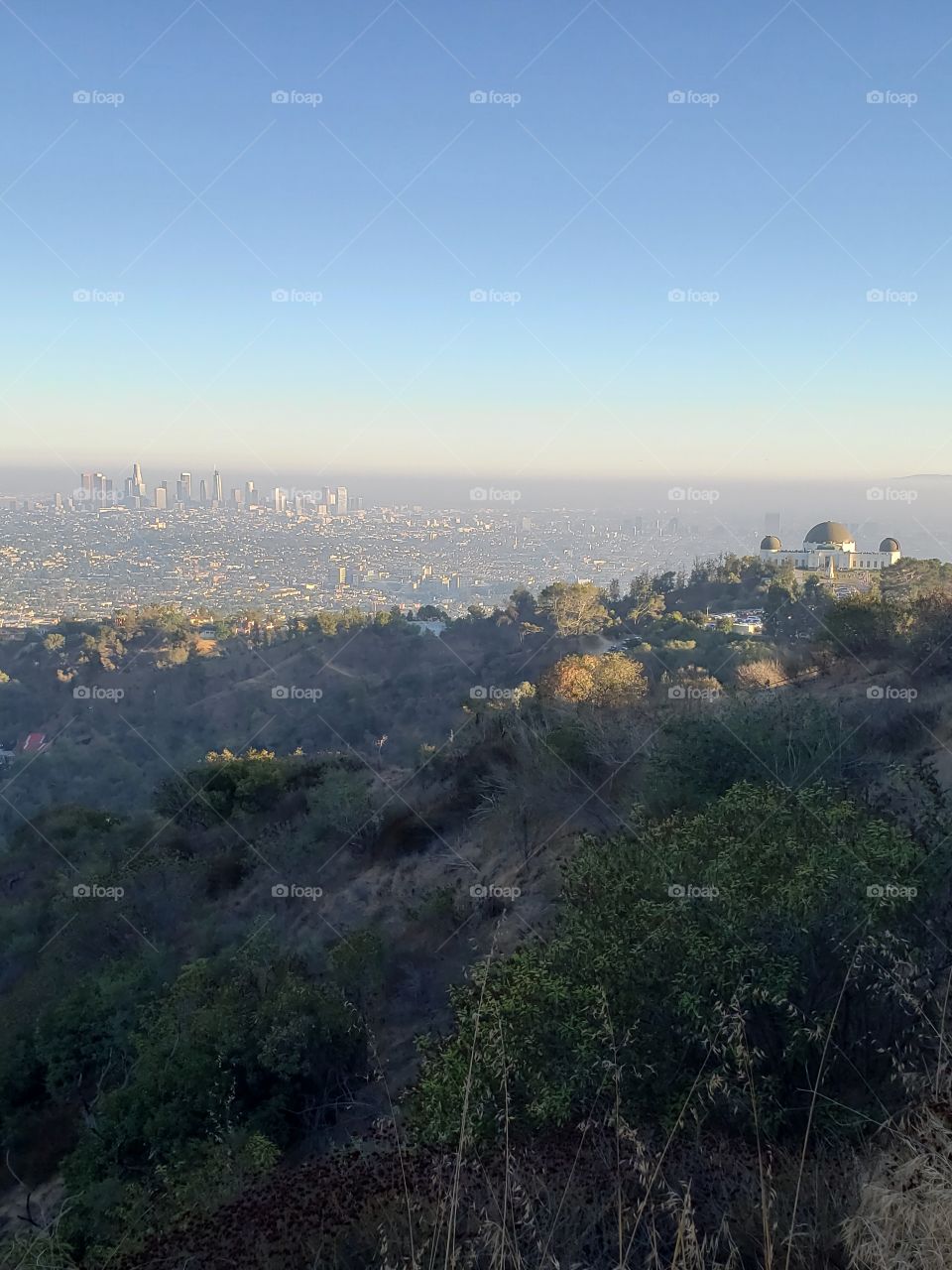 Griffith Observatory