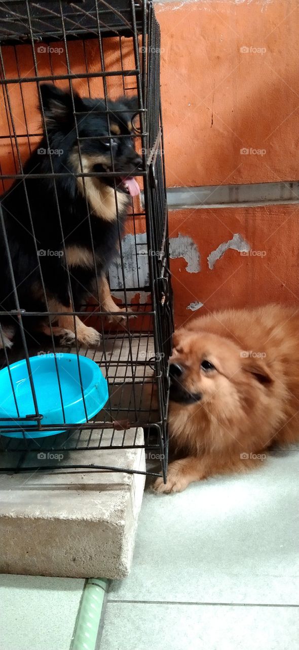 i want to be with you