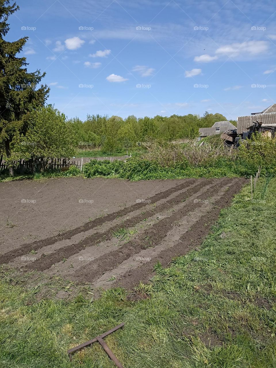Vegetable garden in Russian village