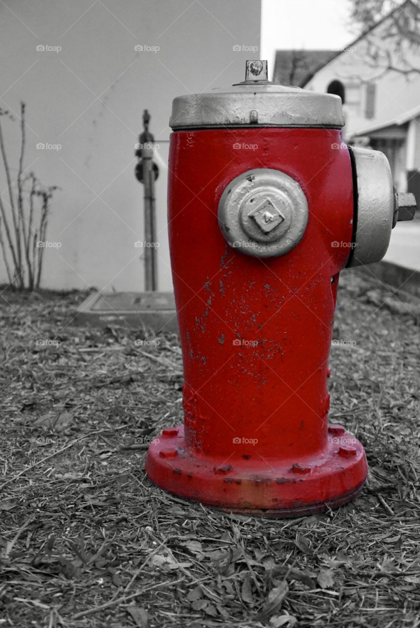 Fire hydrant 