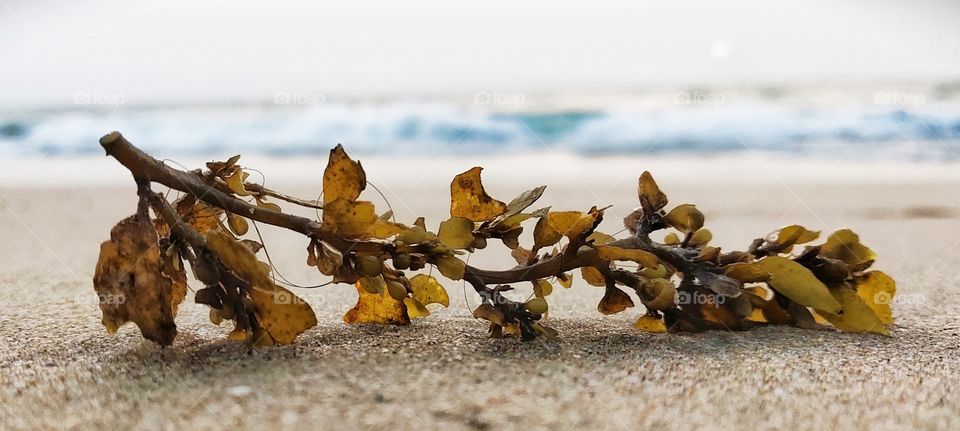 “If you truly love nature, you will find beauty everywhere.”